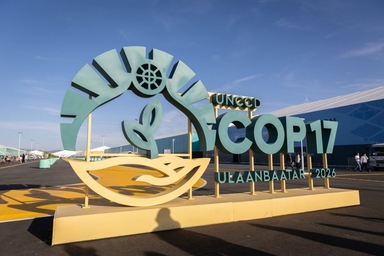 COP17 бага хурлаар цөлжилт, хөрсний доройтлын эсрэг дэлхий нийтийн дараагийн алхмыг тодорхойлно